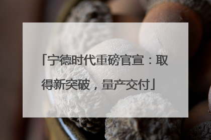 宁德时代重磅官宣：取得新突破，量产交付