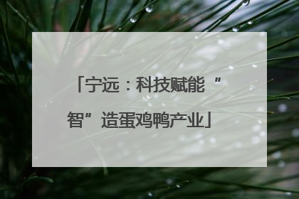 宁远：科技赋能“智”造蛋鸡鸭产业