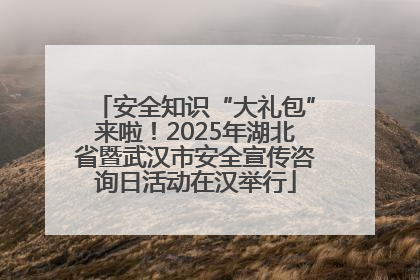 安全知识“大礼包”来啦！2025年湖北省暨武汉市安全宣传咨询日活动在汉举行