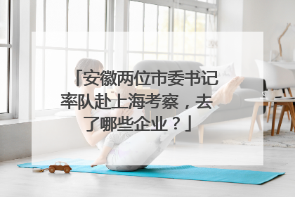 安徽两位市委书记率队赴上海考察，去了哪些企业？