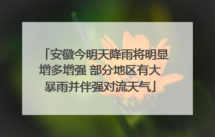 安徽今明天降雨将明显增多增强 部分地区有大暴雨并伴强对流天气