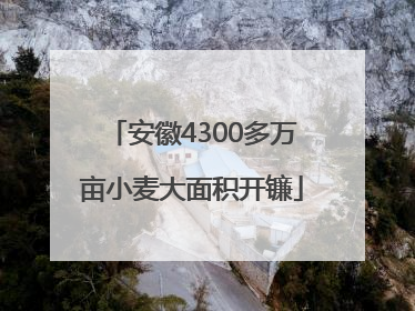 安徽4300多万亩小麦大面积开镰