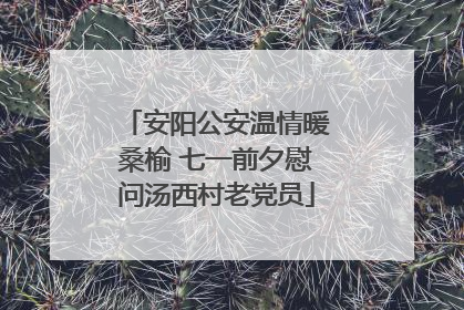 安阳公安温情暖桑榆 七一前夕慰问汤西村老党员