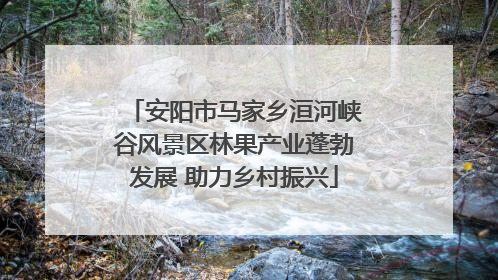 安阳市马家乡洹河峡谷风景区林果产业蓬勃发展 助力乡村振兴