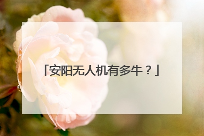 安阳无人机有多牛？