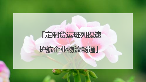 定制货运班列提速 护航企业物流畅通