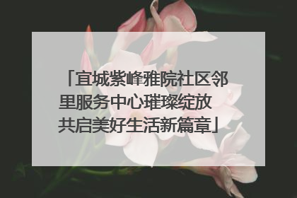宜城紫峰雅院社区邻里服务中心璀璨绽放 共启美好生活新篇章