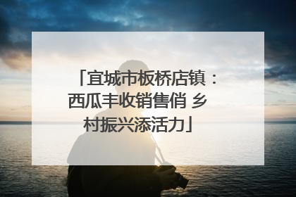 宜城市板桥店镇：西瓜丰收销售俏 乡村振兴添活力