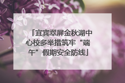 宜宾翠屏金秋湖中心校多举措筑牢“端午”假期安全防线