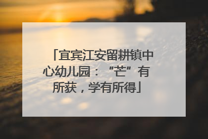 宜宾江安留耕镇中心幼儿园：“芒”有所获，学有所得
