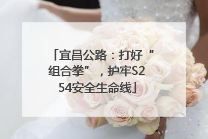 宜昌公路：打好“组合拳”，护牢S254安全生命线