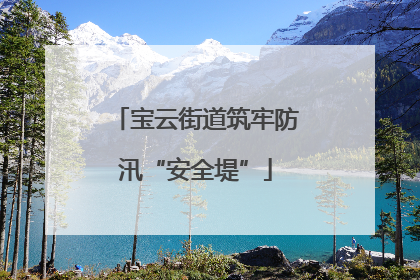 宝云街道筑牢防汛“安全堤”
