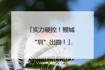 实力硬控！鲤城“圳”出圈！
