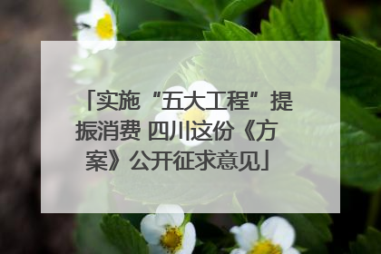 实施“五大工程”提振消费 四川这份《方案》公开征求意见