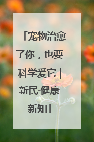 宠物治愈了你，也要科学爱它｜新民·健康新知