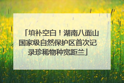 填补空白！湖南八面山国家级自然保护区首次记录珍稀物种宽距兰