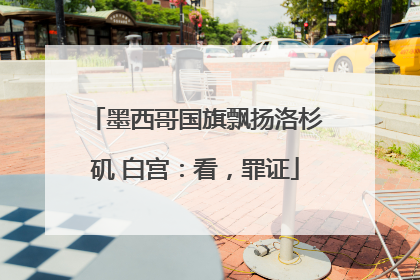 墨西哥国旗飘扬洛杉矶 白宫：看，罪证