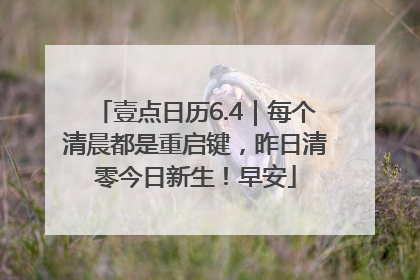 壹点日历6.4｜每个清晨都是重启键，昨日清零今日新生！早安