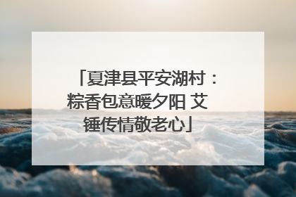 夏津县平安湖村：粽香包意暖夕阳 艾锤传情敬老心