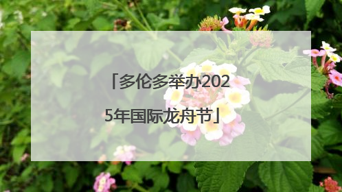 多伦多举办2025年国际龙舟节