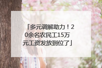 多元调解助力！20余名农民工15万元工资发放到位了