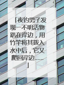 夜钓男子发现一不明活物趴在岸边，用竹竿将其拨入水中后，它又爬回岸边……