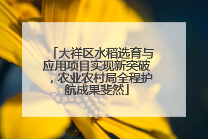 大祥区水稻选育与应用项目实现新突破，农业农村局全程护航成果斐然