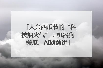 大兴西瓜节的“科技烟火气”：机器狗搬瓜、AI摊煎饼