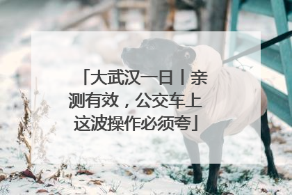 大武汉一日丨亲测有效，公交车上这波操作必须夸