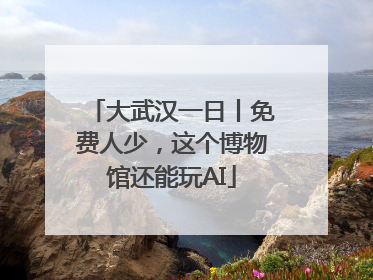 大武汉一日丨免费人少，这个博物馆还能玩AI