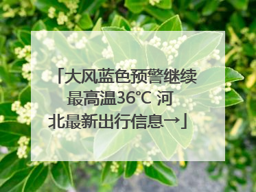 大风蓝色预警继续 最高温36℃ 河北最新出行信息→