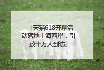 天猫618开幕活动落地上海西岸，引数十万人到访