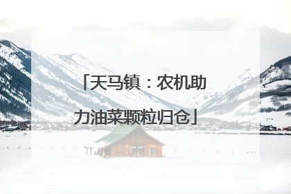 天马镇：农机助力油菜颗粒归仓