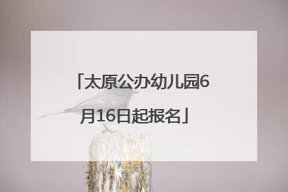 太原公办幼儿园6月16日起报名