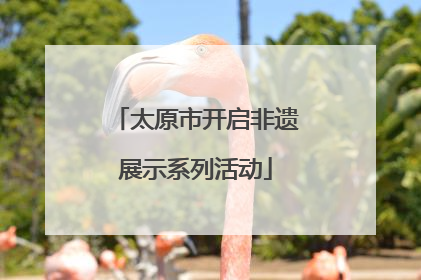 太原市开启非遗展示系列活动