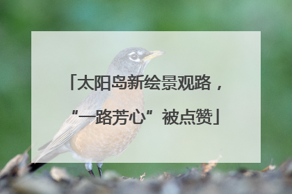 太阳岛新绘景观路，“一路芳心”被点赞