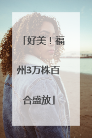 好美！福州3万株百合盛放