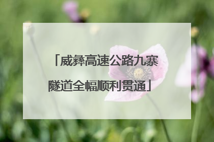 威彝高速公路九寨隧道全幅顺利贯通