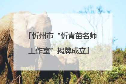 忻州市“忻青苗名师工作室”揭牌成立