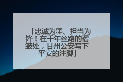 忠诚为墨、担当为锋！在千年丝路的褶皱处，甘州公安写下平安的注脚