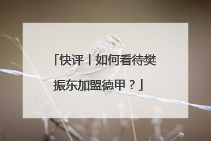 快评丨如何看待樊振东加盟德甲？
