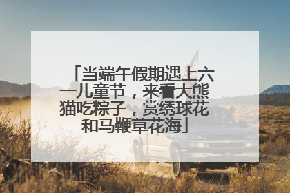 当端午假期遇上六一儿童节，来看大熊猫吃粽子，赏绣球花和马鞭草花海