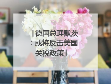 德国总理默茨：或将反击美国关税政策