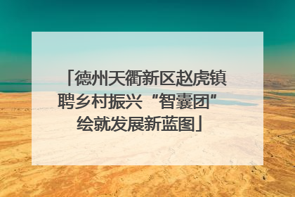 德州天衢新区赵虎镇聘乡村振兴“智囊团” 绘就发展新蓝图