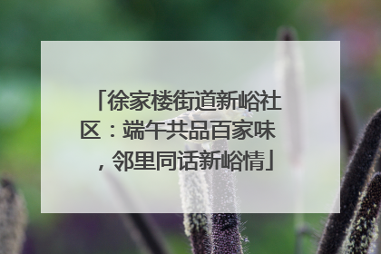 徐家楼街道新峪社区：端午共品百家味，邻里同话新峪情