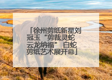 徐州剪纸新星刘冠玉“剪裁灵蛇 云龙纳福” 白蛇剪纸艺术展开幕