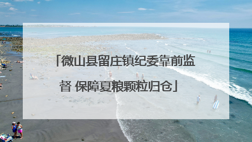 微山县留庄镇纪委靠前监督 保障夏粮颗粒归仓