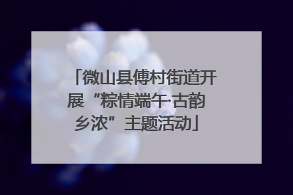 微山县傅村街道开展“粽情端午·古韵乡浓”主题活动