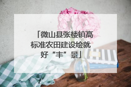 微山县张楼镇高标准农田建设绘就好“丰”景