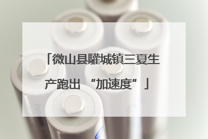 微山县驩城镇三夏生产跑出 “加速度”